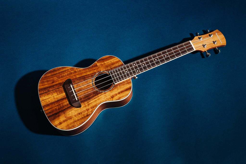 ukulele concert