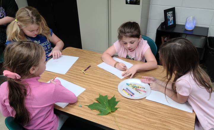 Mrs. Teresa's Enrichment